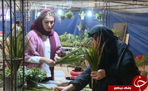 نمایشگاه گل و گیاه در لرستان + تصاویر