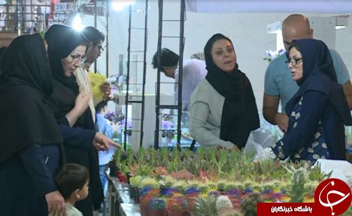 نمایشگاه گل و گیاه در لرستان + تصاویر