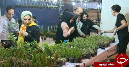 نمایشگاه گل و گیاه در لرستان + تصاویر