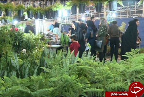نمایشگاه گل و گیاه در لرستان + تصاویر