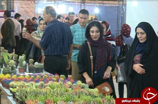 نمایشگاه گل و گیاه در لرستان + تصاویر