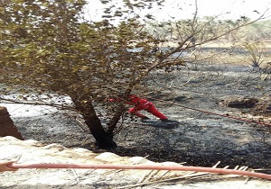 حریق گسترده در روستای مقامسیه خرمشهر