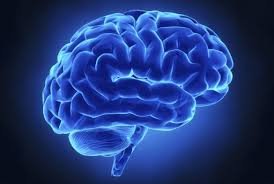 پیش&zwnj;بینی ابتلا به آلزایمر با کمک هوش مصنوعی