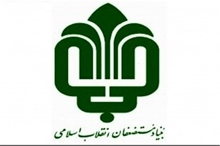 همکاری بنیاد مستضعفان در زمینه اعطای تسهیلات به طرح&zwnj;های تولیدی روستاها
