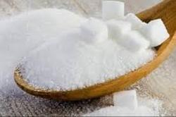 نمایی نزدیک از حرکت گلبول های سفید در خون + فیلم