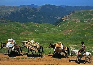 اعتبار ۱۷۵ میلیاردی طرح های عشایری در لرستان