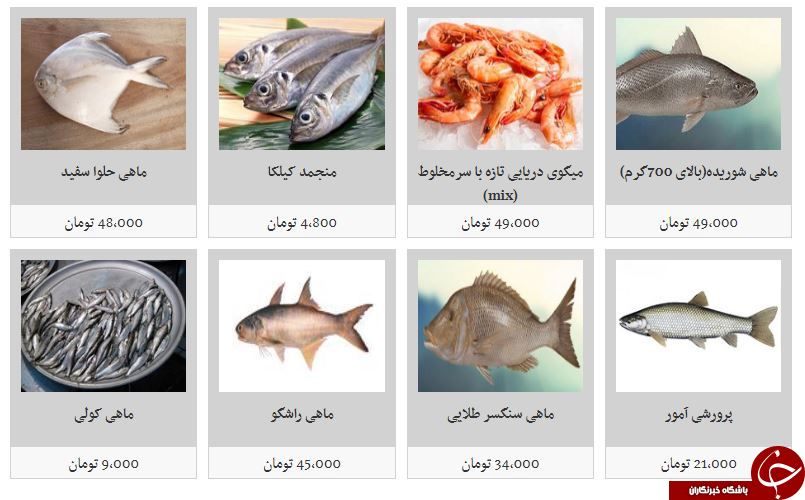 قیمت انواع ماهی در میادین میوه و تره بار