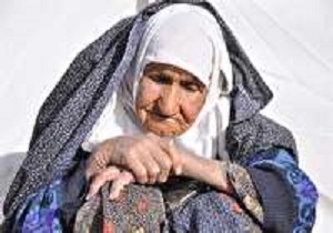 بهره‌مندی بیش از ۳۱ هزار سالمند از خدمات حمایتی