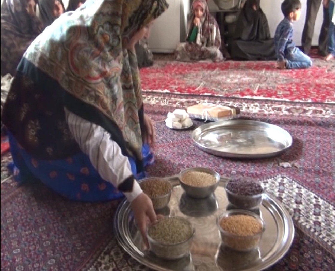 آیین خرمن پایی به شکرانه گندم زار های طلایی/زنجان رتبه دوم افزایش تولید گندم