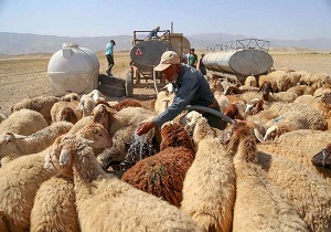 تسهیل در امر آبرسانی برای عشایری