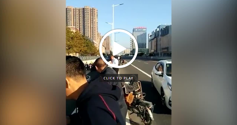 اصلاح صورت حین رانندگی حادثه ساز شد! + فیلم//