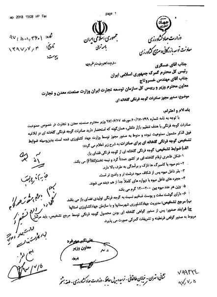 علت صادرات گوجه فرنگی با وجود ممنوعیت صادرات