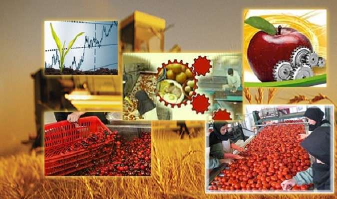 سرمایه گذاری کافی برای جلوگیری از خام فروشی وجود ندارد