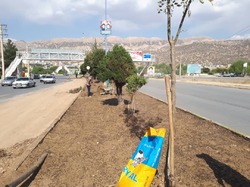 آغاز مرحله جدید ترمیم فضای سبز  شهر یاسوج