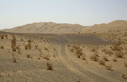 بیابان&zwnj;ها و دشت&zwnj;هایی تهی از علوفه/ خشکسالی متهم ردیف اول
