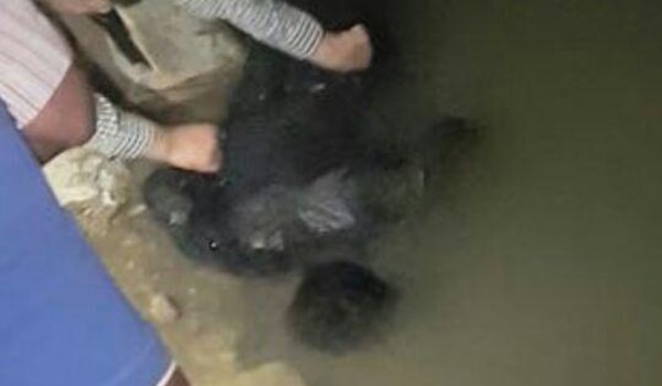 کشف جسد مرد جوان در رودخانه الوند سرپل ذهاب
