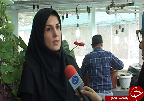 سنبل آبی، مهمان ناخوانده تالاب های شمال کشور