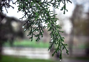 پیش بینی رگبار پراکنده باران و رعد و برق