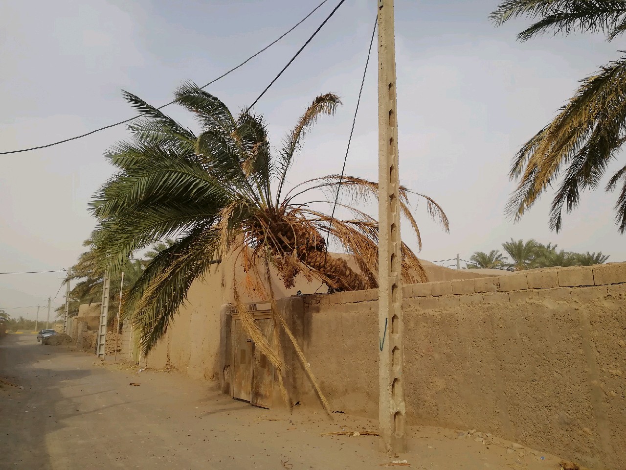 گردوغبار کرمانی&zwnj;ها را بستری کرد