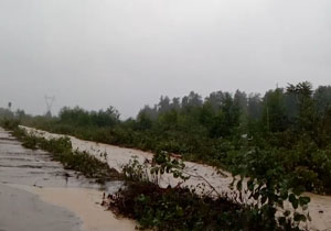جاری شدن سیل در روستای امام دشت + فیلم