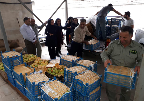 امدادرسانی محیط بانان مازندرانی به خرس&zwnj;های گرسنه +تصاویر