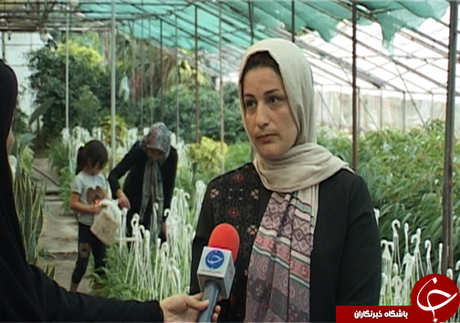 گلخانه&zwnj;ای به بزرگی یک روستا