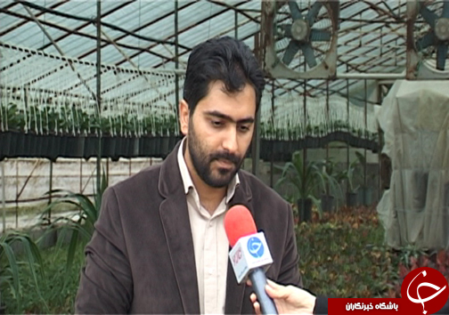 گلخانه&zwnj;ای به بزرگی یک روستا