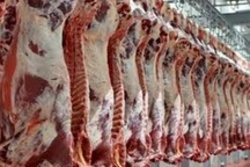 نظارت بر کشتار یک هزار و 530 راس دام سبک و سنگین در شهرستان دهلران