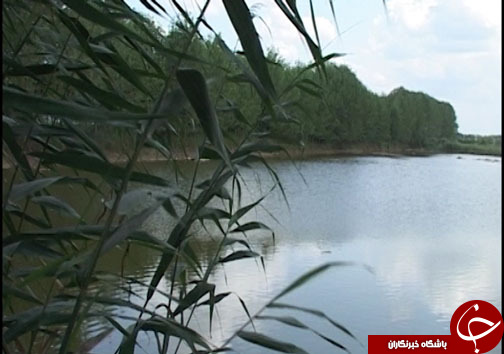 جلوگیری از خشکسالی با همت کشاورزان مازندرانی