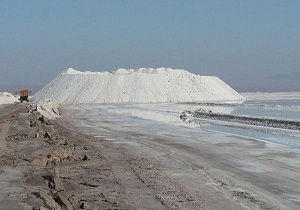 استفاده از ظرفیت های موجود برای نجات محیط زیست از بحران