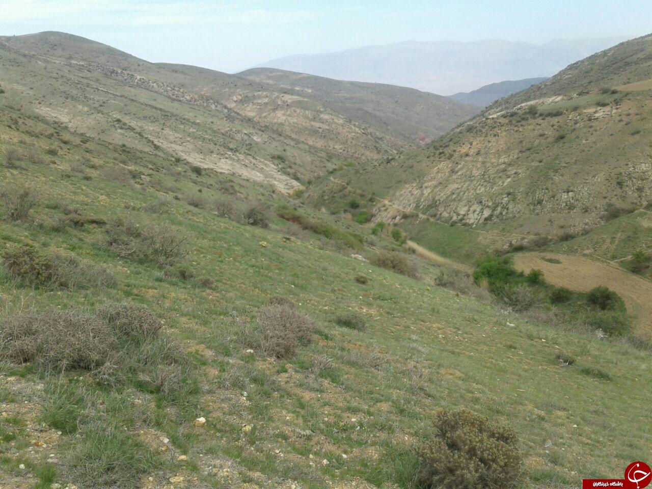 نمایی از منطقه گردشگری طارم&zwnj;سفلی + تصاویر