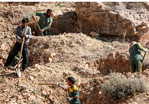 کاشت نهال جنگلی در ارتفاعات تنگ خور لارستان