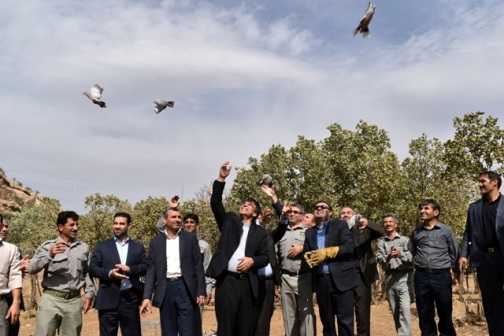 رهاسازی پرندگان وحشی مکشوفه از قاچاقچیان
