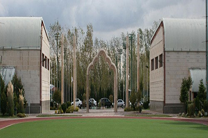 مدیر ورزشی با ۳ کشته و هزار مشکل در سفر توریستی آرژانتین!