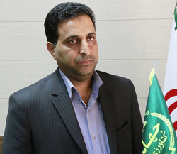 عمق فاجعه گرد و غبار در خوزستان بالاست/  ۱۳ متر از نخل&zwnj;های ۱۵ متری ریگان بم زیر خاک مدفون&zwnj;اند