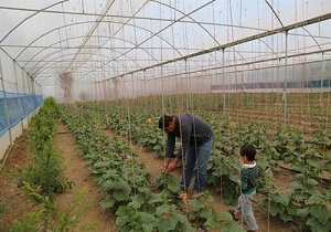پرداخت ۱۲ میلیارد تومان تسهیلات اشتغال‌زایی به مددجویان اردبیلی