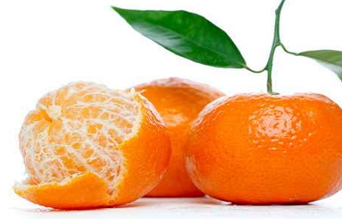 برای لاغری سریع این مواد را فراموش نکنید/علت خواب آلودگی هنگام مطالعه چیست؟/درمانی خانگی برای آفت دهان