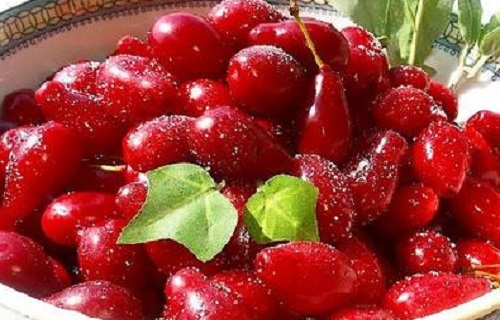 برای لاغری سریع این مواد را فراموش نکنید/علت خواب آلودگی هنگام مطالعه چیست؟/درمانی خانگی برای آفت دهان