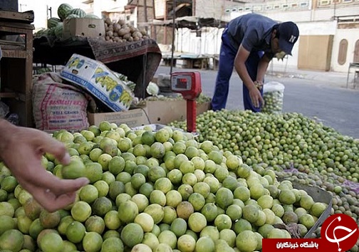 آبلیمو چاشنی خوش طعم سفره های ایرانی/خواص آنتی اکسیدان و ویتامین cموجود در لیمو برای بدن انسان بسیار مفید است