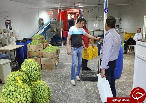 آبلیمو چاشنی خوش طعم سفره های ایرانی/خواص آنتی اکسیدان و ویتامین cموجود در لیمو برای بدن انسان بسیار مفید است