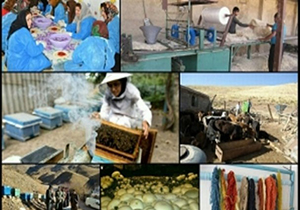 مرودشت پیشتاز صندوق‌های اعتبارات‌خرد زنان روستایی در فارس
