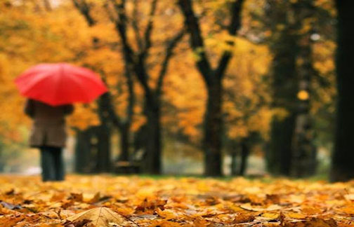 دل و دماغ ندارید، شاید افسردگی پاییزی دارید!