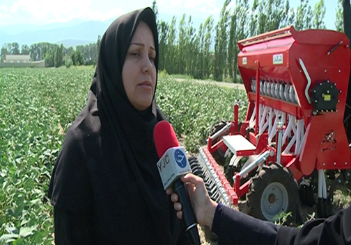 تولید ادوات کشاورزی بومی به دست متخصصان گلستانی