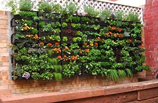 باغچه عمودی برای خانه‌هایی با فضای کم + فیلم