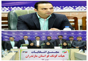 انتخاب مجدد عابدی به عنوان رییس هیات کونگفو