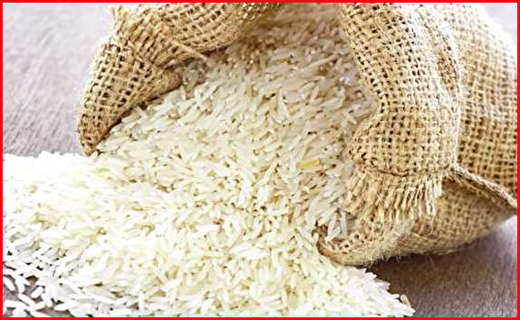 کشف فسیل ۲۰ میلیون ساله در اردبیل/آخرین وضعیت از حال مجروحان حادثه تروریستی اهواز/علت تلف شدن ماهی های پارک فروزان چه بود