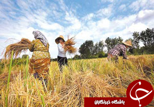 نگاهی گذرا به مهمترین رویداد&zwnj;های دوشنبه ۲ مهرماه در مازندران