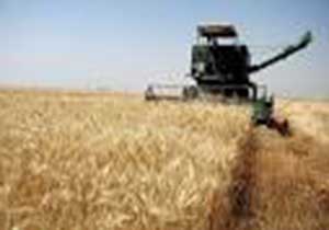 پرداخت سه هزارو ۸۰۰ میلیاردریال تسهیلات در بخش کشاورزی