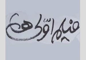 اکران فیلم "اولی ها" در سینما غزل شیراز