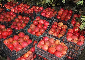 برگزاری کارگاه آموزشی راه اندازی کسب و کار در باغملک